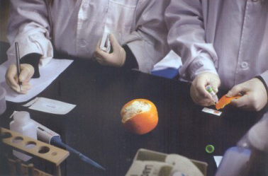 2013年3月28日，北京智云達科技有限公司食品安全快檢實驗室，技術員正在檢測橙子表皮的農藥殘留是否超標